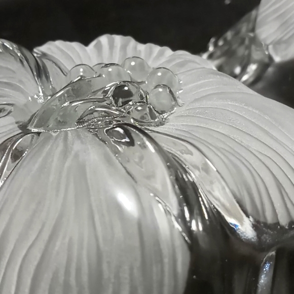 Mikasa 13" Hibiscus Frost Divided Server - Picture 7 of 7